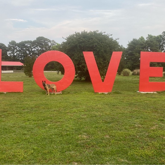 Meet your Posher, Jennifer - Picture 4 of 10